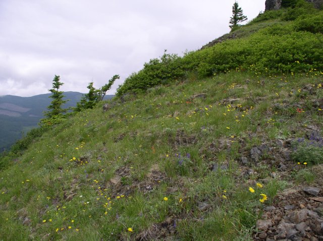 6.10.06 Table Mtn_3CR 038 